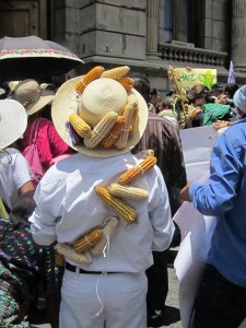 Ley Monsanto