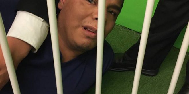 Presunto Violador, Arkadia