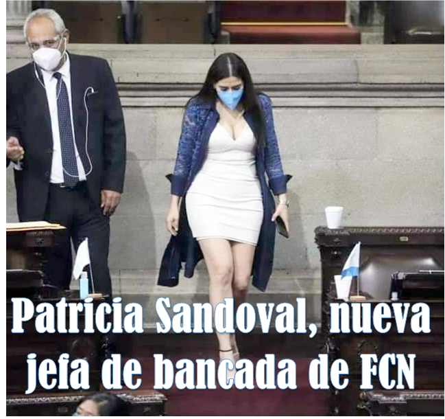Diputada Patricia Sandoval nueva Jefa de Bancada de FCN